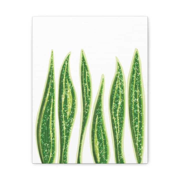 Snake Plant Canvas | Botanical Canvas Decor - Matte Finish Artwork for Living Room - Laura Christine Photography & Design