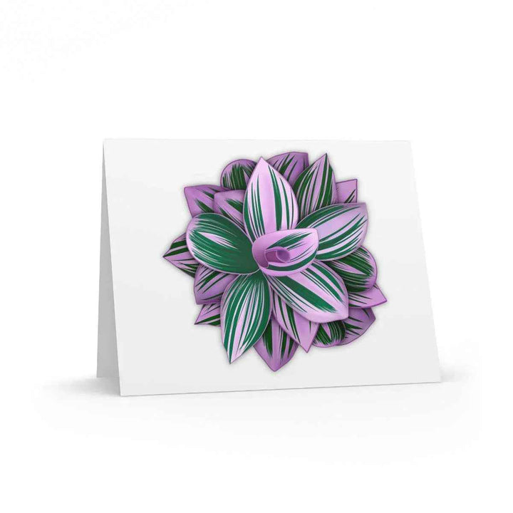 Tradescantia Nanouk Card – Floral Greeting Card with Colorful Variegated Foliage