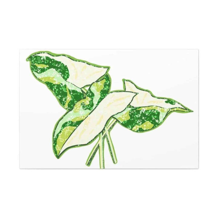 Marble Syngonium Canvas - Botanical Canvas Art Print | Durable Cotton Matte Finish