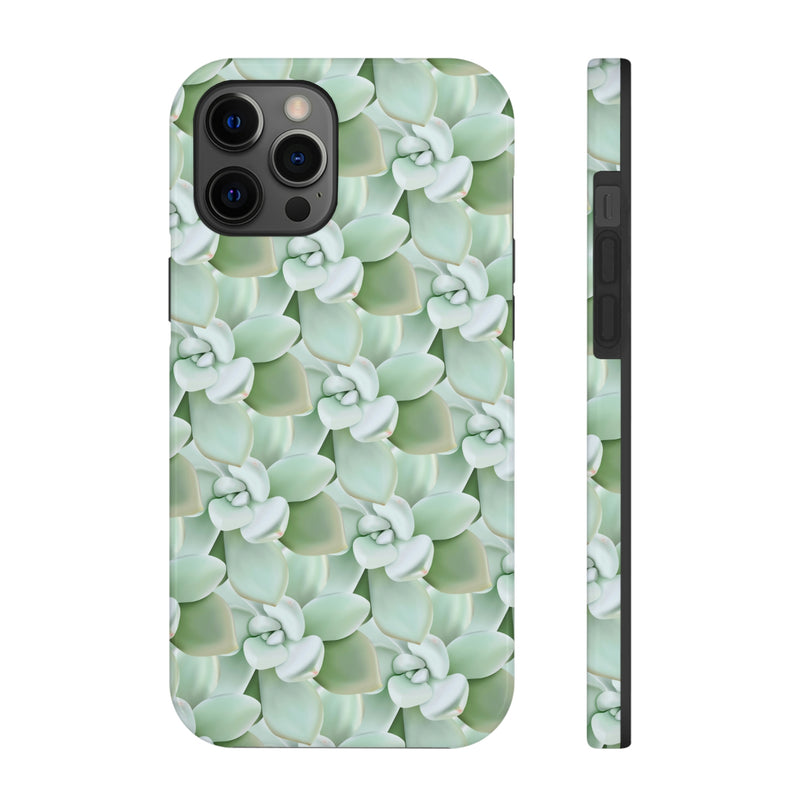 Pachyveria Haagei Succulent Pattern Phone Case, Phone Case, Printify, Accessories, Glossy, iPhone Cases, Matte, Phone accessory, Phone Cases, Samsung Cases, Laura Christine Photography & Design, laurachristinedesign.com