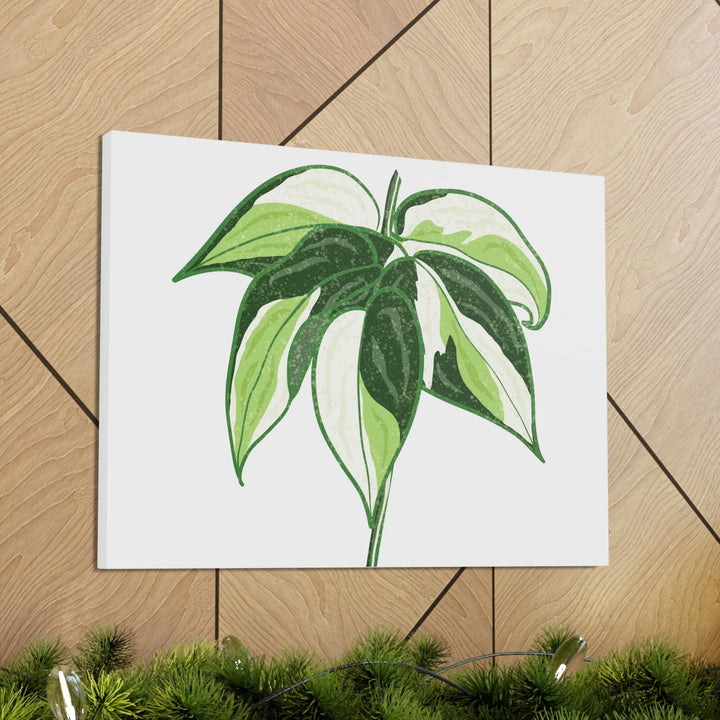 Philodendron Canvas Print - Cream Splash Variegated Plant Art on Matte Cotton Canvas