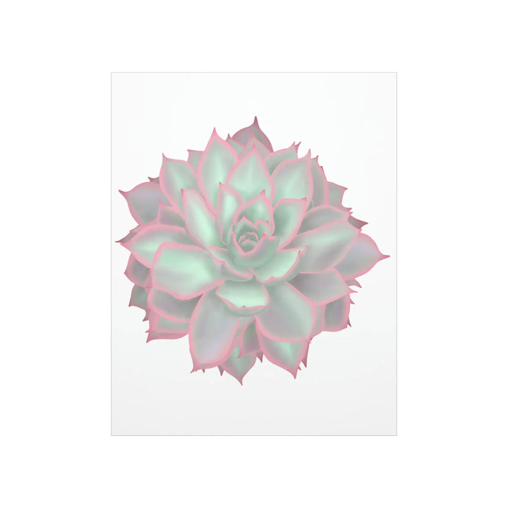 Echeveria Violet Queen Print – Succulent Wall Art | Botanical Poster On Museum Grade Paper