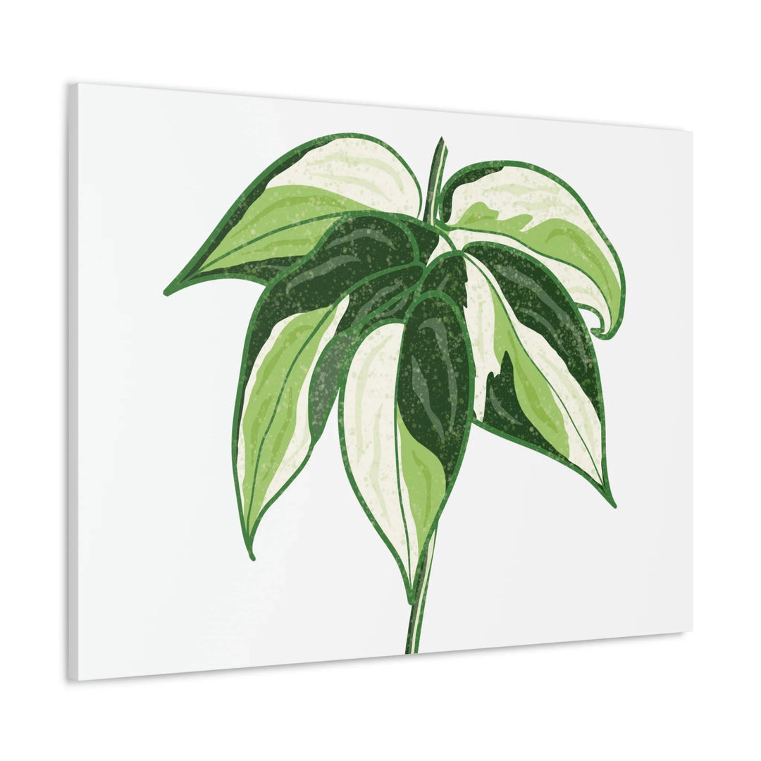 Philodendron Canvas Print - Cream Splash Variegated Plant Art on Matte Cotton Canvas