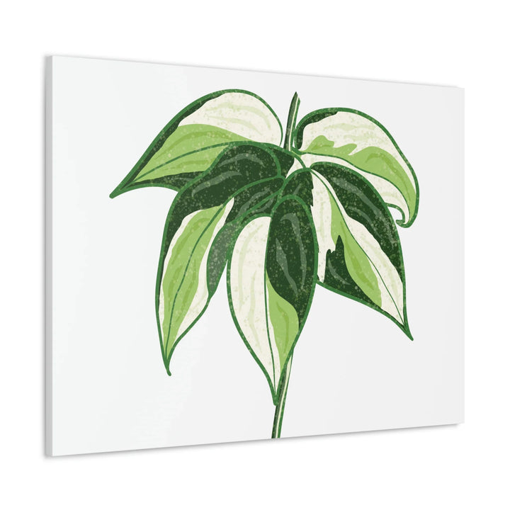 Philodendron Canvas Print - Cream Splash Variegated Plant Art on Matte Cotton Canvas