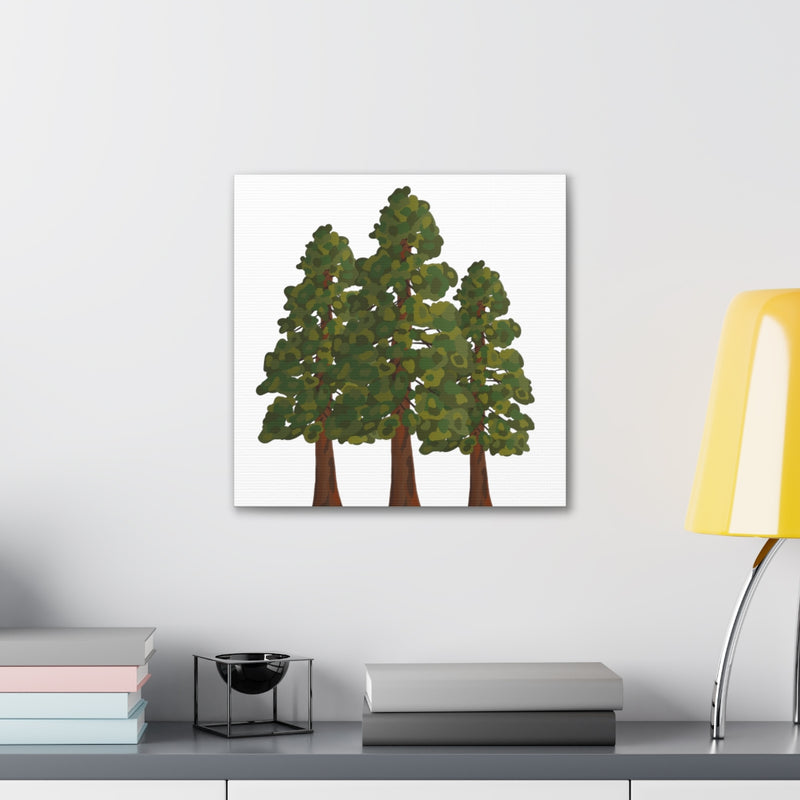 Coastal Redwoods Canvas