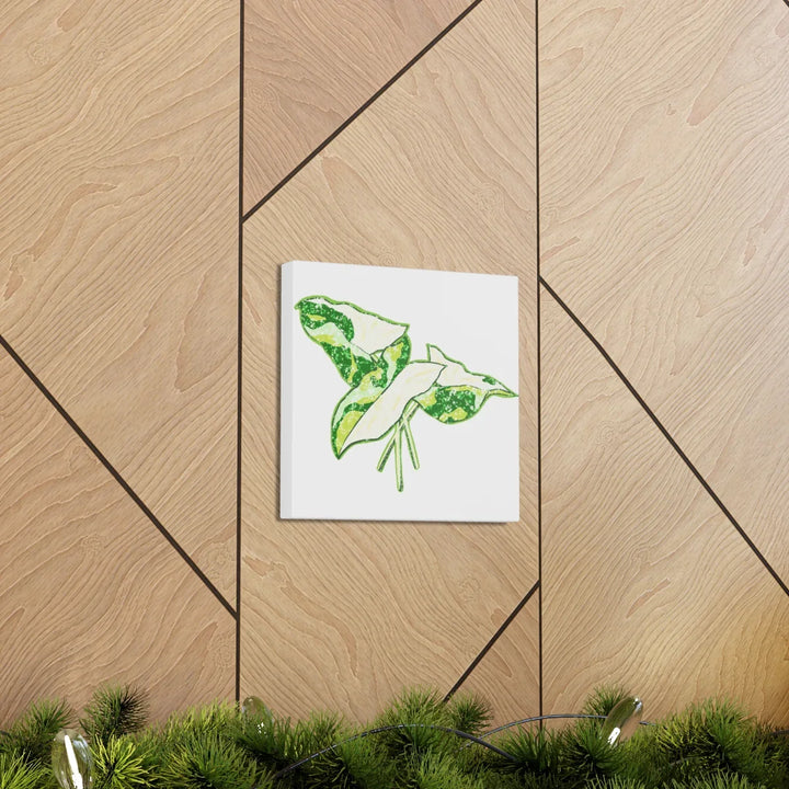 Marble Syngonium Canvas - Botanical Canvas Art Print | Durable Cotton Matte Finish - Laura Christine Photography & Design