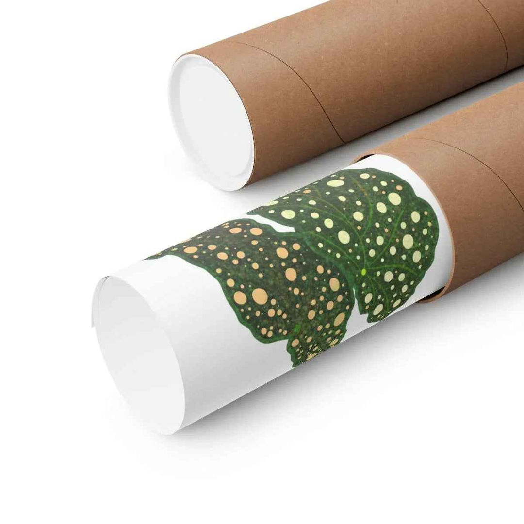 Begonia Maculata Print - Botanical Wall Art on Museum Grade Paper | Matte Finish Unframed