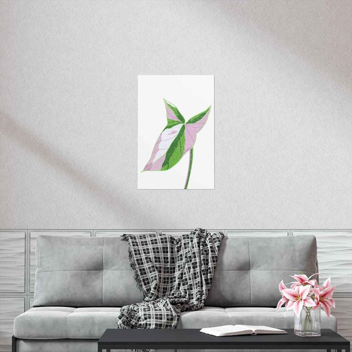 Syngonium Tricolor Print – Botanical Wall Art | Variegated Leaf Poster Unframed