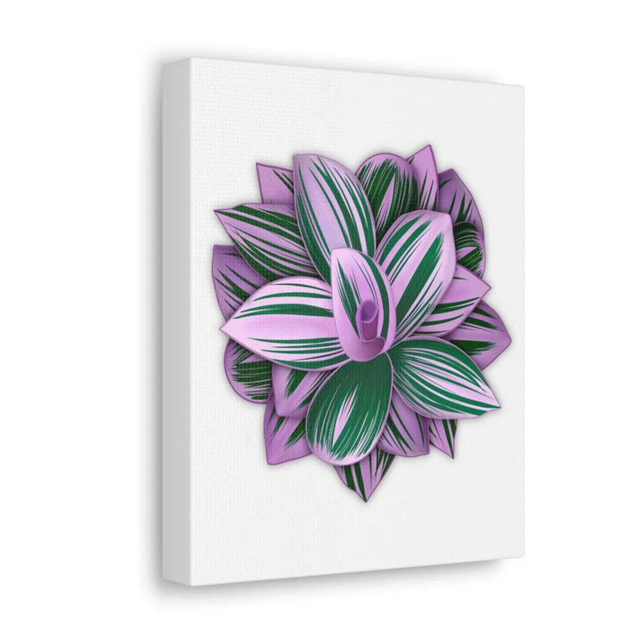 Tradescantia Nanouk Canvas – Botanical Canvas Art Print | Matte Finish Wall Decor - Laura Christine Photography & Design