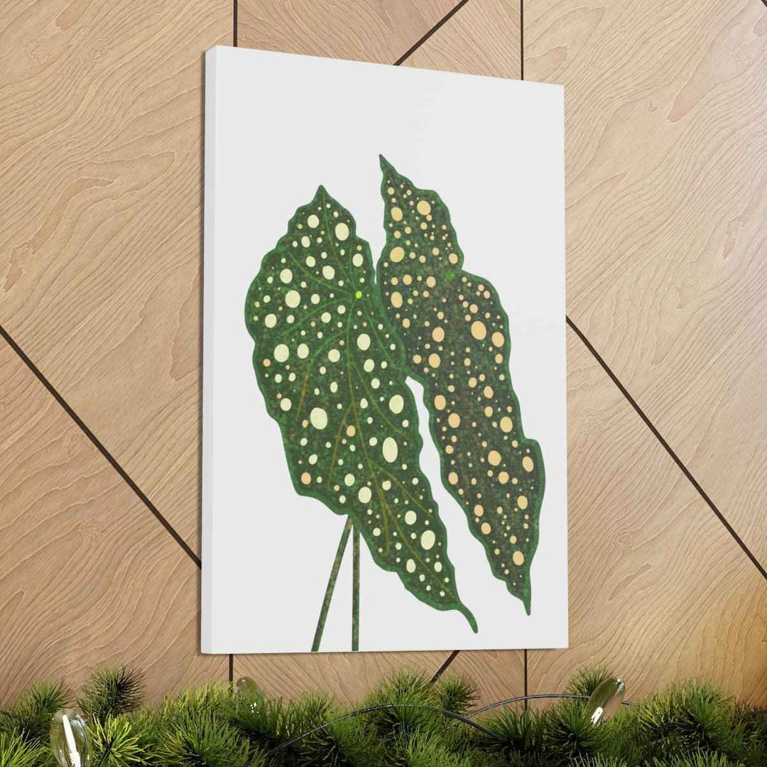 Begonia Maculata Canvas | Premium Canvas Art Print - Matte Finish, Durable Wall Decor