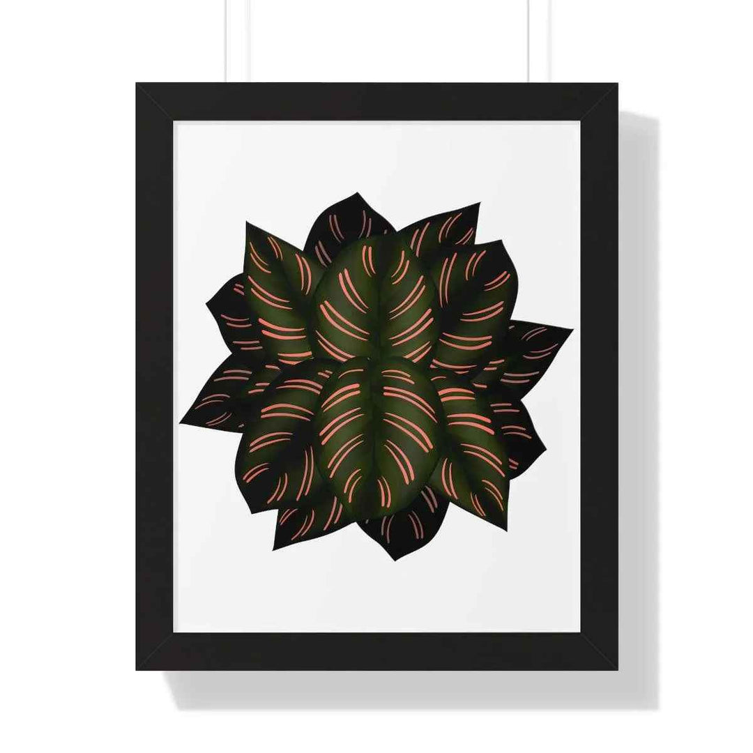 Calathea Pinstripe Print - Framed Botanical Art With Matte Finish & Acrylic Cover