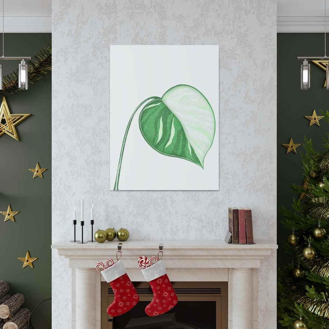 Monstera Albo Canvas | Large Tropical Leaf Artwork - Matte Finish Canvas Art Print