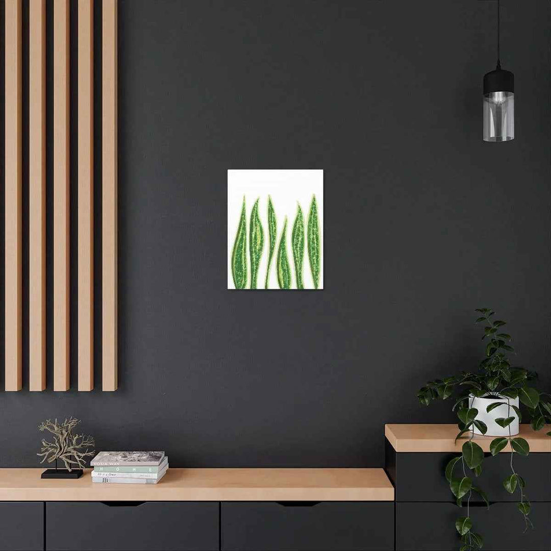 Snake Plant Canvas | Botanical Canvas Decor - Matte Finish Artwork for Living Room