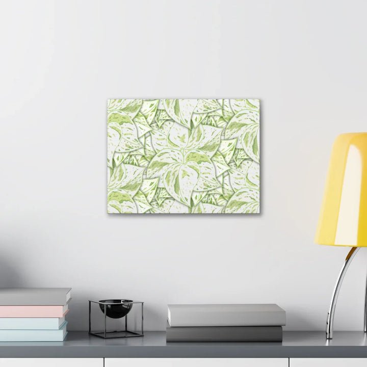 Snow Queen Pothos Canvas – Matte Finish Canvas Art Print | Variegated Botanical Wall Decor