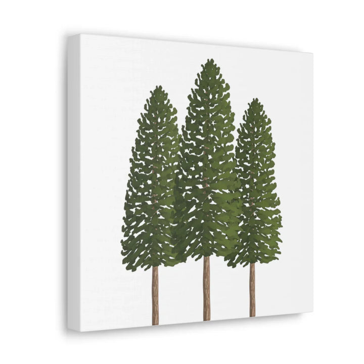 Ponderosa Pine Canvas - Large Stretched Cotton Canvas Art Print With Matte Finish