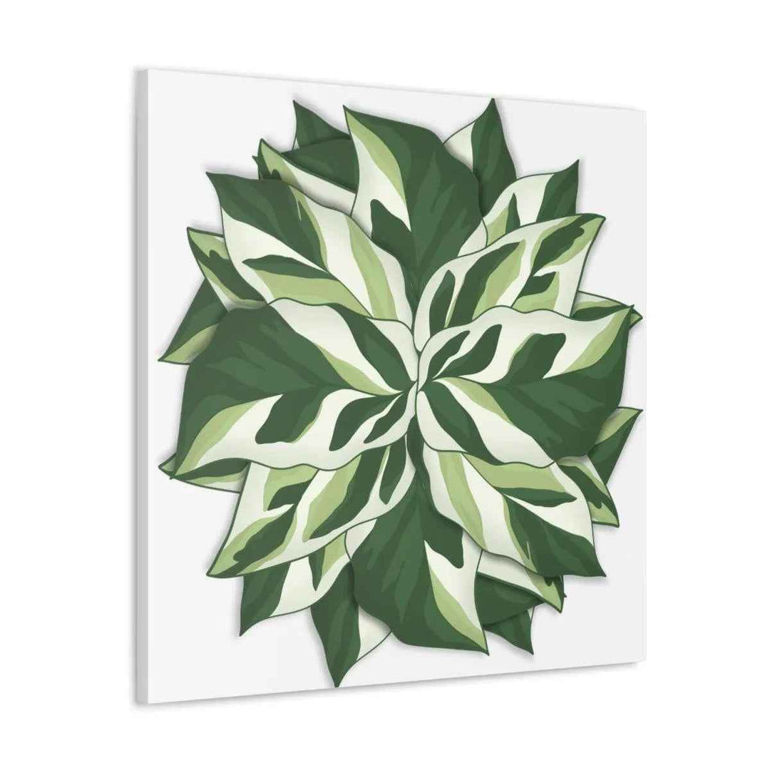 Calathea White Fusion Canvas | Indoor Wall Art - Matte Finish Botanical Canvas Art Print