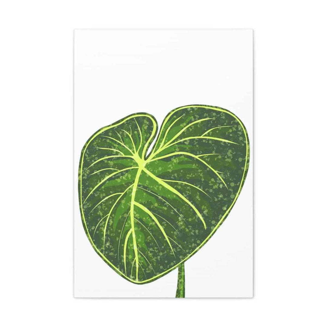 Philodendron Gloriosum Canvas - Stretched Canvas Art Print | Matte Indoor Wall Art