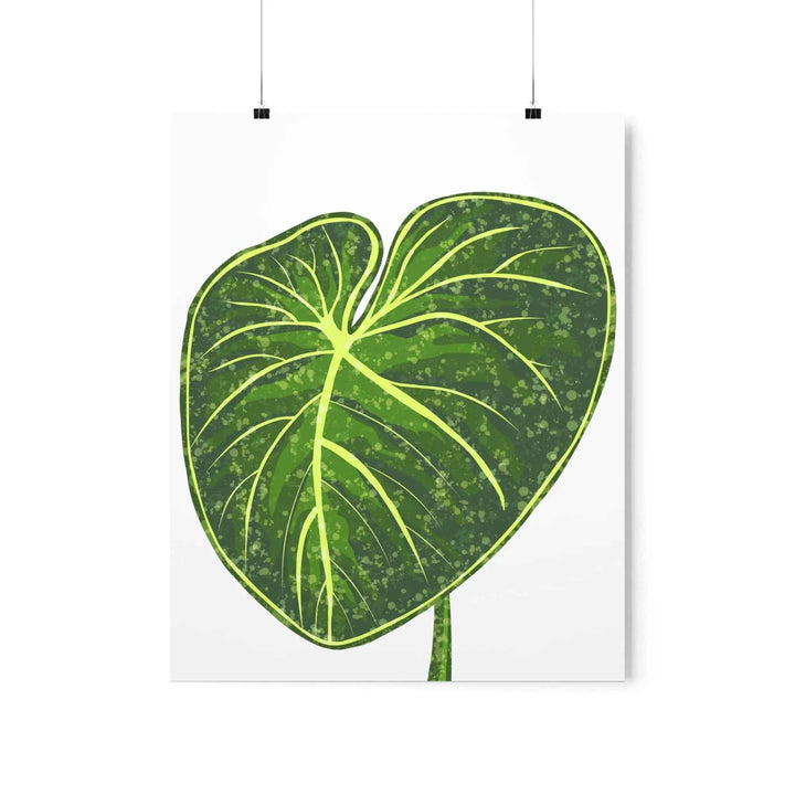 Philodendron Gloriosum Print Botanical Wall Art – Tropical Leaf Poster on Museum-Grade Paper Unframed