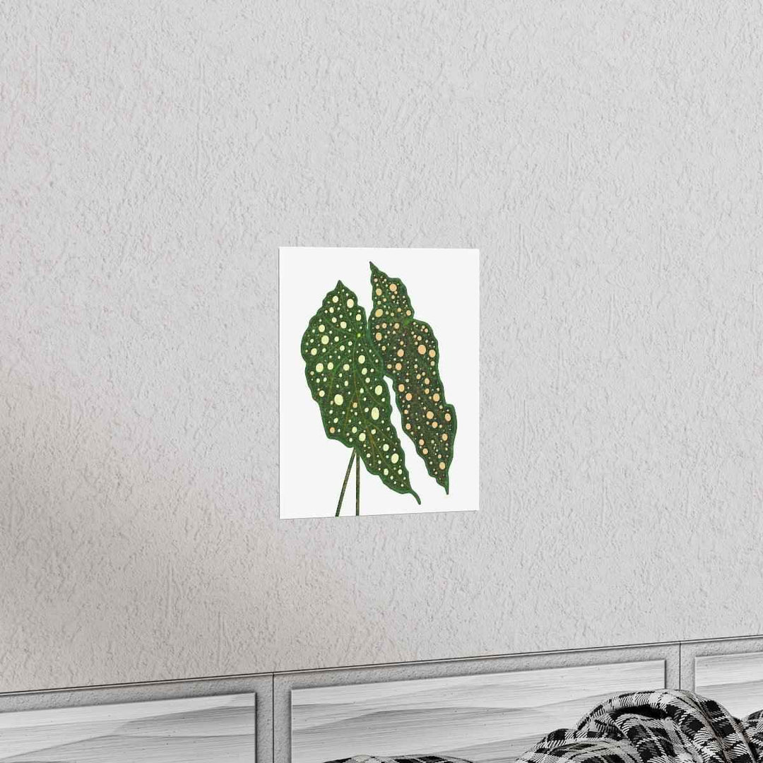 Begonia Maculata Print - Botanical Wall Art on Museum Grade Paper | Matte Finish Unframed