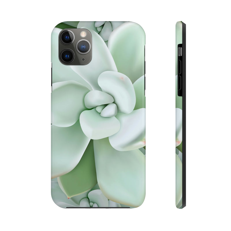 Pachyveria Haagei Succulent Phone Case, Phone Case, Printify, Accessories, Glossy, iPhone Cases, Matte, Phone accessory, Phone Cases, Samsung Cases, Laura Christine Photography & Design, laurachristinedesign.com