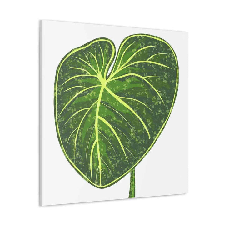 Philodendron Gloriosum Canvas - Stretched Canvas Art Print | Matte Indoor Wall Art