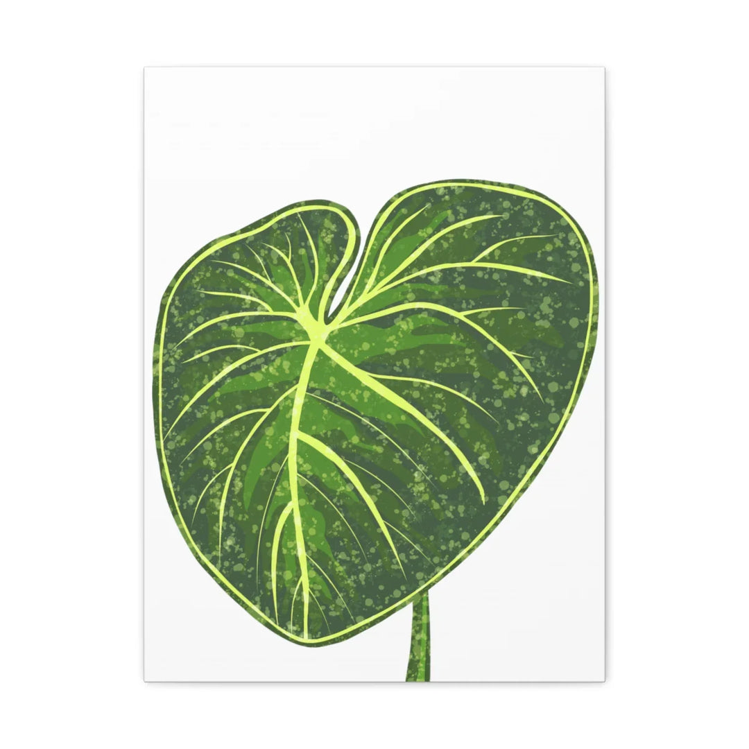 Philodendron Gloriosum Canvas - Stretched Canvas Art Print | Matte Indoor Wall Art - Laura Christine Photography & Design