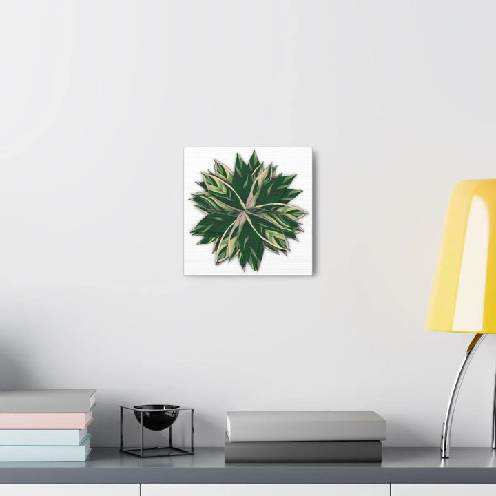 Stromanthe Triostar Canvas - Pastel Stripe Canvas Art Print With Vivid Color Artwork - Laura Christine Photography & Design