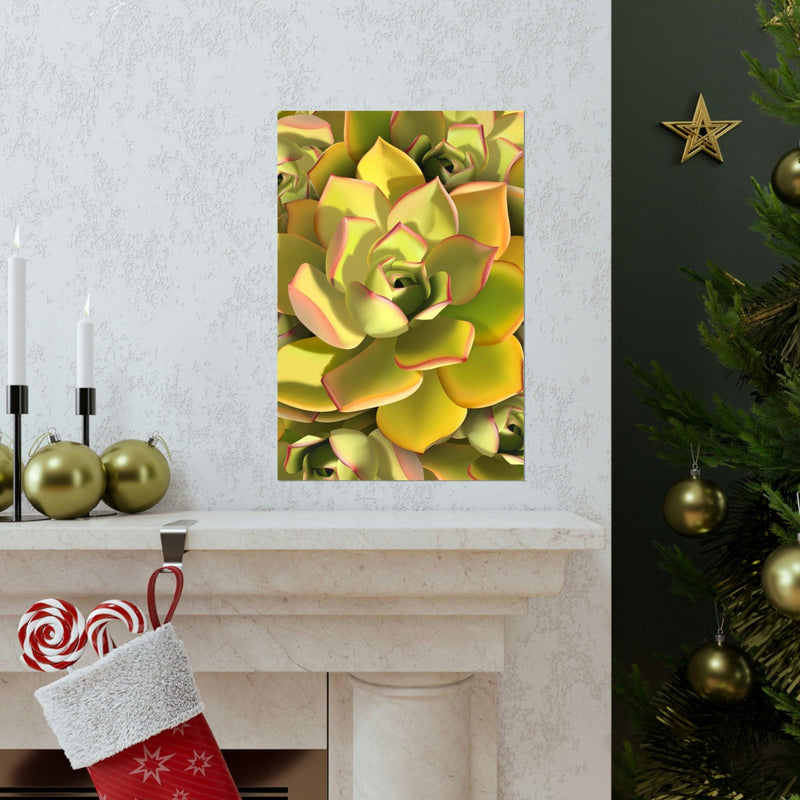 Noble Aeonium Succulent Pattern Print, Poster, Printify, Back to School, Home & Living, Indoor, Matte, Paper, Posters, Valentine&