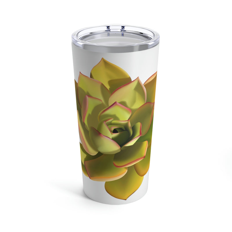 Noble Aeonium Succulent Tumbler