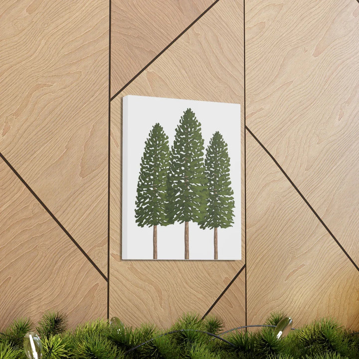 Ponderosa Pine Canvas - Large Stretched Cotton Canvas Art Print With Matte Finish