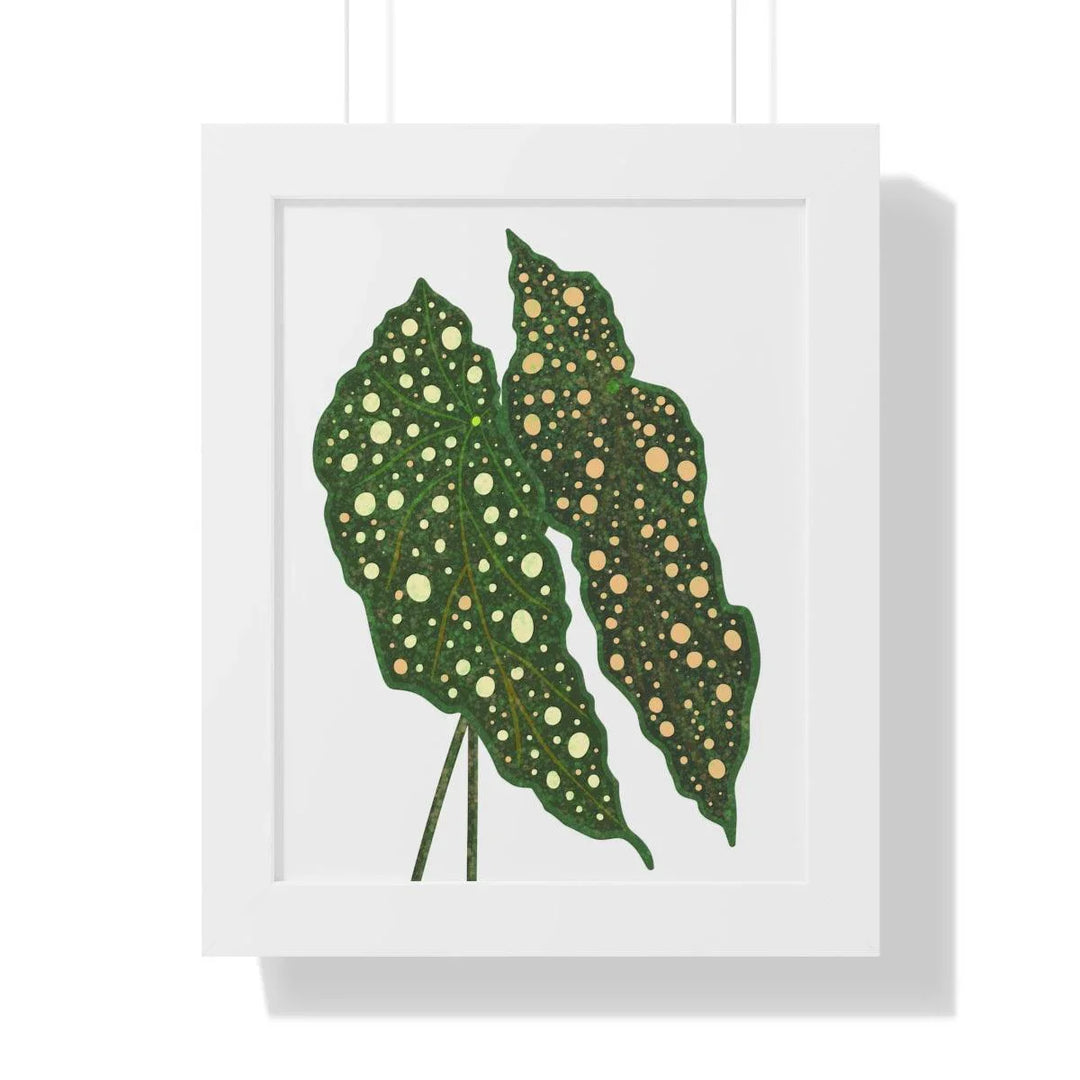 Begonia Maculata Framed Print, Poster, Laura Christine Photography & Design, Framed, Home & Living, Indoor, Paper, Posters, Laura Christine Photography & Design, laurachristinedesign.com