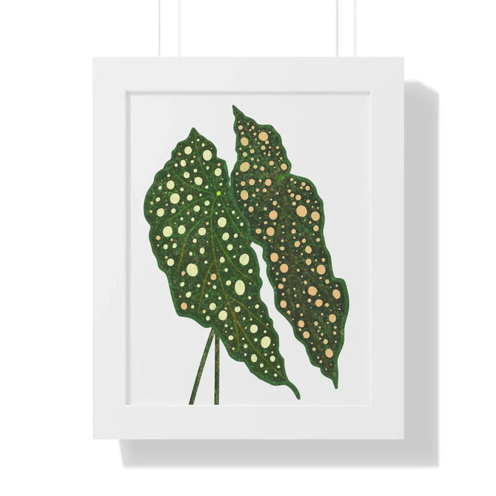 Begonia Maculata Framed Print, Poster, Laura Christine Photography & Design, Framed, Home & Living, Indoor, Paper, Posters, Laura Christine Photography & Design, laurachristinedesign.com