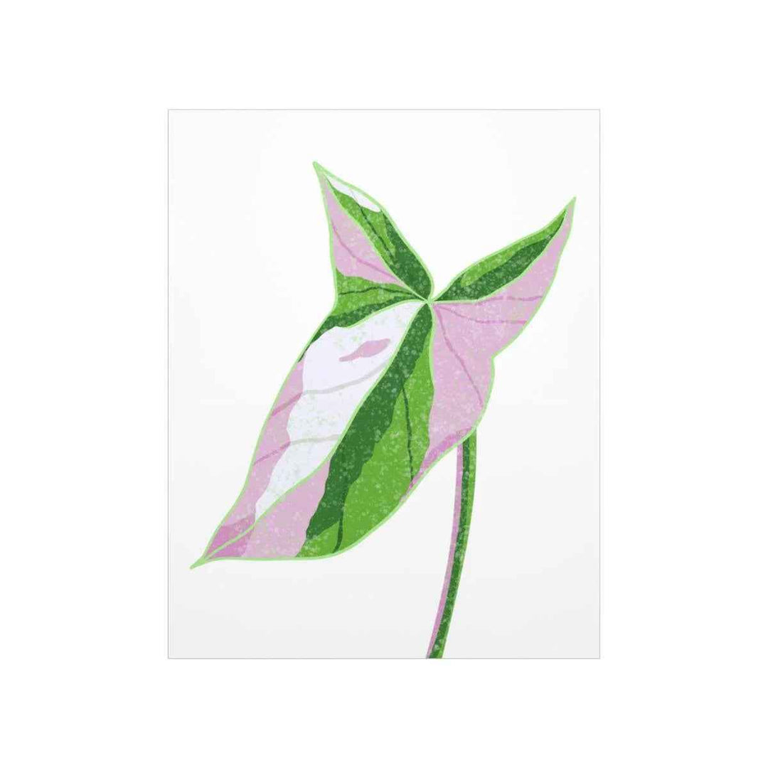 Syngonium Tricolor Print – Botanical Wall Art | Variegated Leaf Poster Unframed