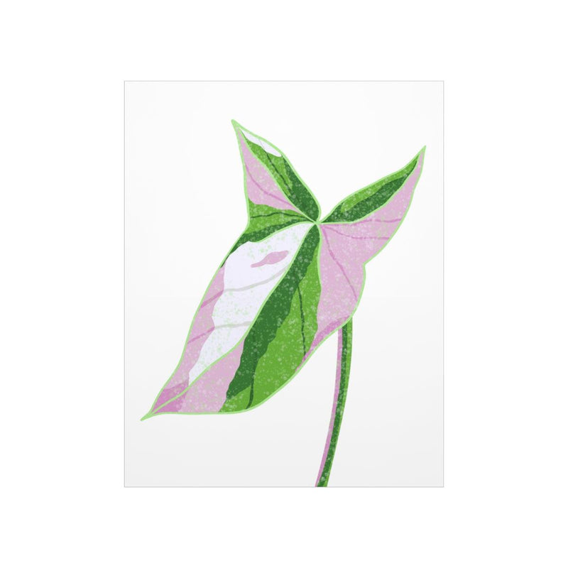 Syngonium Tricolor Print, Poster, Laura Christine Photography & Design, Back to School, Home & Living, Indoor, Matte, Paper, Posters, Valentine&