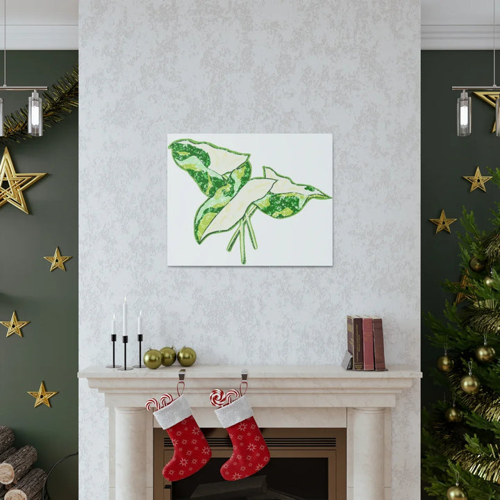 Marble Syngonium Canvas - Botanical Canvas Art Print | Durable Cotton Matte Finish - Laura Christine Photography & Design