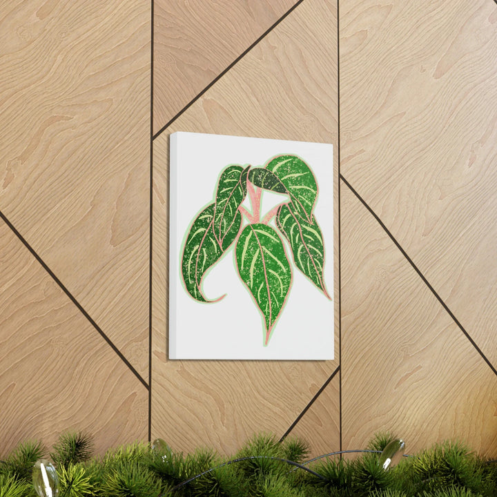 Aglaonema Plant Canvas | Sparkling Plant Artwork - Colorfast Canvas Art Print Decor