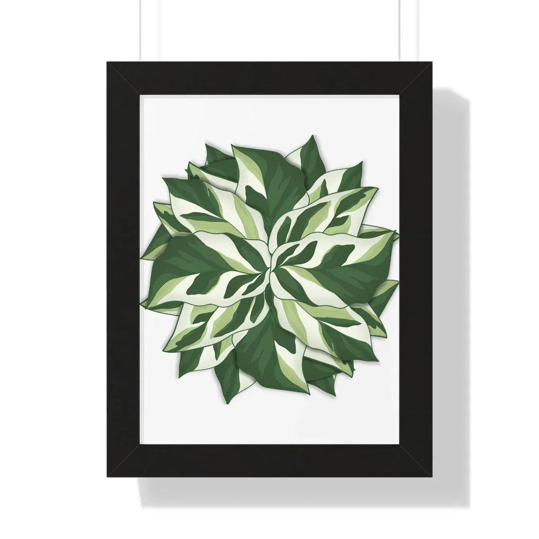Calathea White Fusion Framed Print, Poster, Laura Christine Photography & Design, Bottle, Calathea, Canvas Bag, Coffee, Drinkware, Framed, Home & Living, Indoor, Paper, Posters, Prayer Plant, Reusable, Shopping Bag, Tea, Tote Bag, Travel, Tumbler, Water, White Fusion, Laura Christine Photography & Design, laurachristinedesign.com
