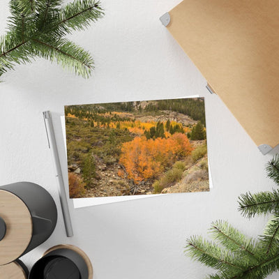 Autumn Leaves outside Yosemite - Postcard, 10-pack, Paper products, Printify, Back to School, Home & Living, Indoor, Matte, Paper, Posters, Laura Christine Photography & Design, laurachristinedesign.com