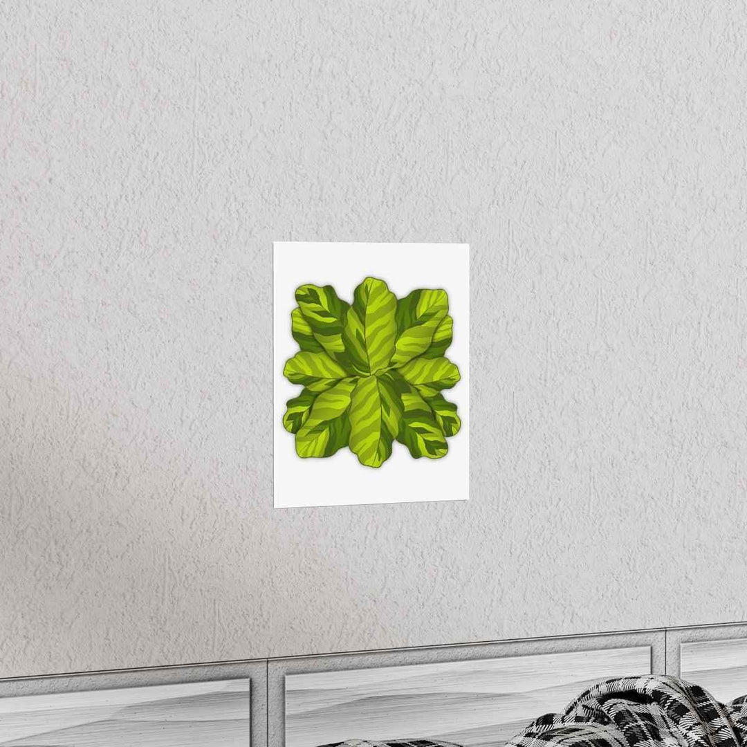 Calathea Yellow Fusion Print – Botanical Wall Art on Museum-Grade Paper Unframed