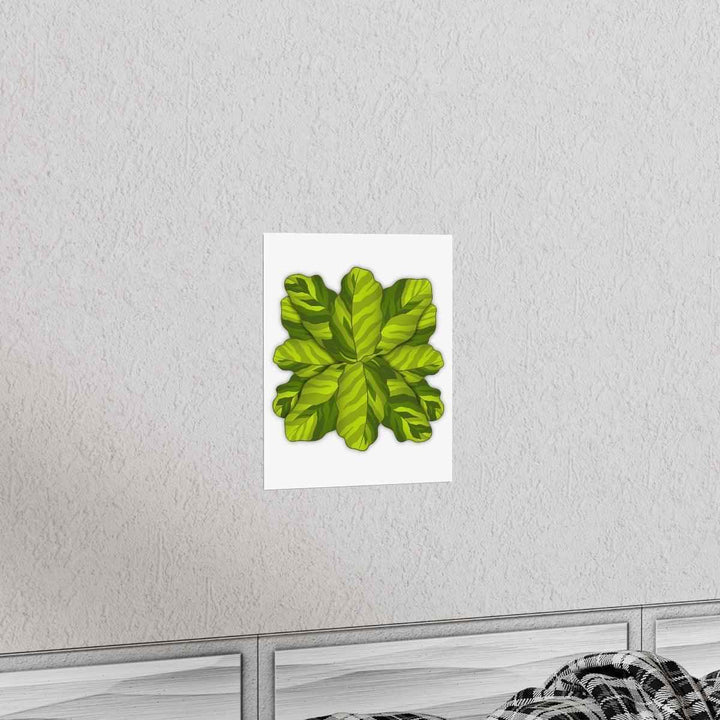 Calathea Yellow Fusion Print – Botanical Wall Art on Museum-Grade Paper Unframed