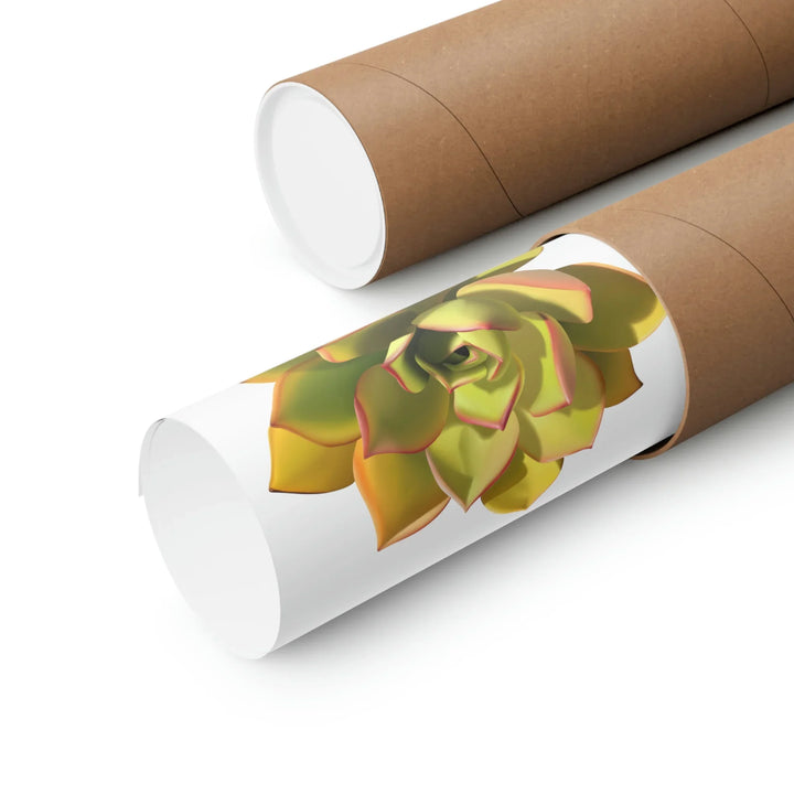 Noble Aeonium Print – Vibrant Succulent Wall Art on Museum-Grade Paper Poster Unframed