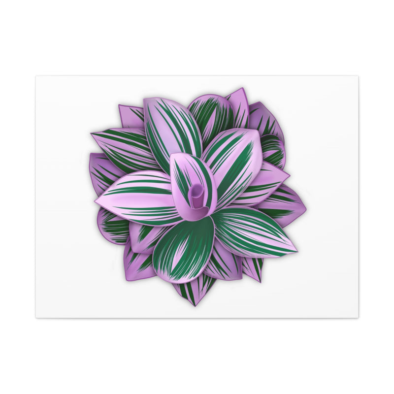 Tradescantia Nanouk Canvas