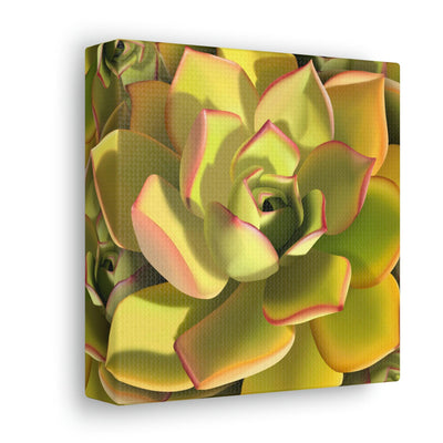 Noble Aeonium Succulent Pattern Canvas, Canvas, Printify, Art & Wall Decor, Canvas, Hanging Hardware, Home & Living, Indoor, Laura Christine Photography & Design, laurachristinedesign.com