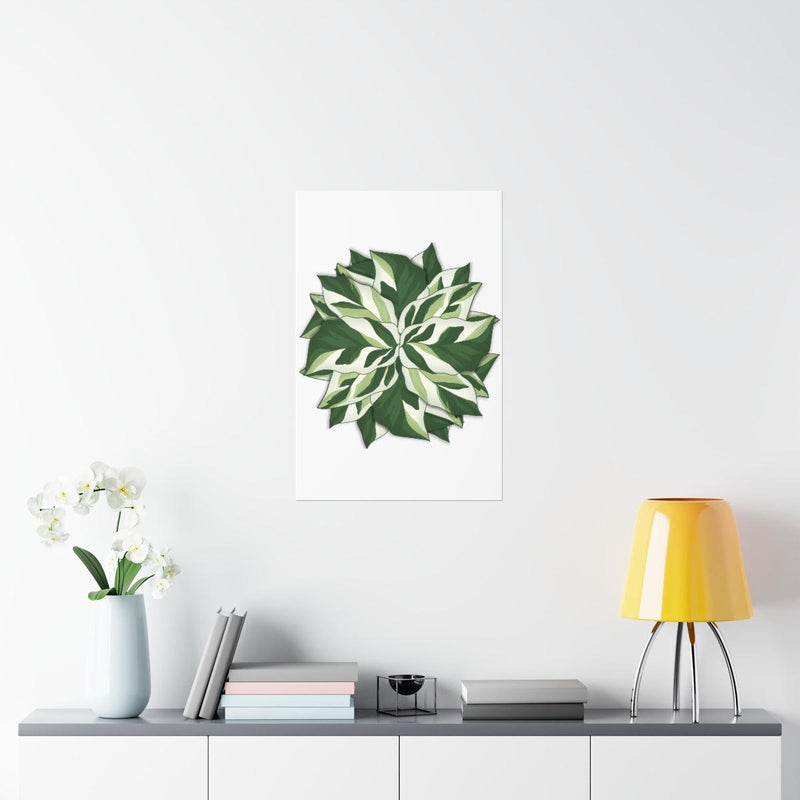Calathea White Fusion Print, Poster, Laura Christine Photography & Design, Back to School, Home & Living, Indoor, Matte, Paper, Posters, Valentine&