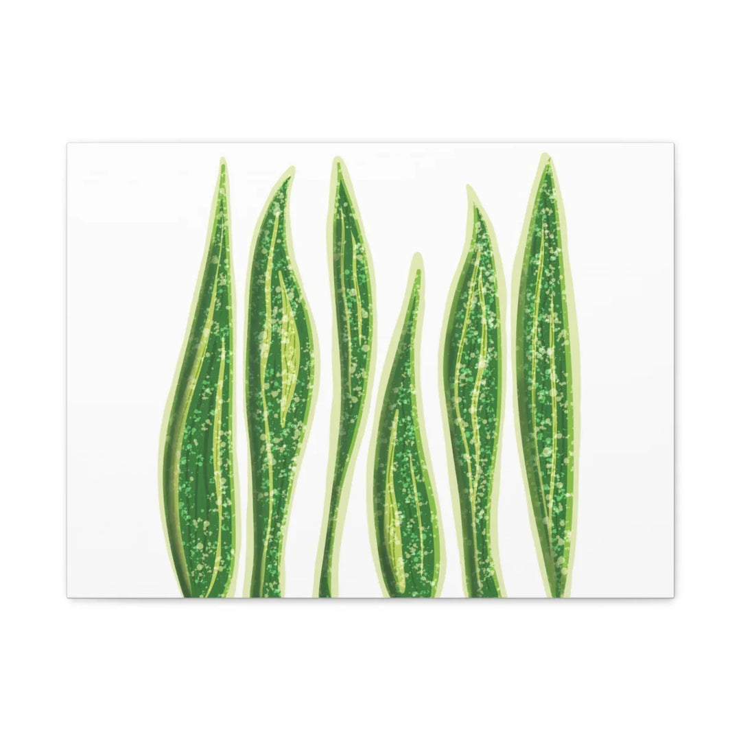 Snake Plant Canvas | Botanical Canvas Decor - Matte Finish Artwork for Living Room - Laura Christine Photography & Design