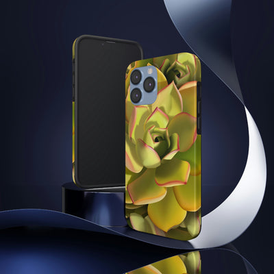 Noble Aeonium Succulent Phone Case, Phone Case, Printify, Accessories, Glossy, iPhone Cases, Matte, Phone accessory, Phone Cases, Samsung Cases, Laura Christine Photography & Design, laurachristinedesign.com