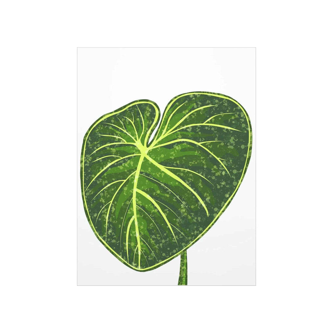 Philodendron Gloriosum Print Botanical Wall Art – Tropical Leaf Poster on Museum-Grade Paper Unframed