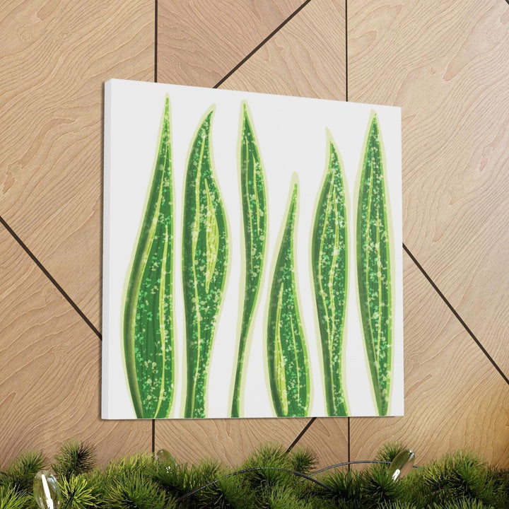 Snake Plant Canvas | Botanical Canvas Decor - Matte Finish Artwork for Living Room - Laura Christine Photography & Design