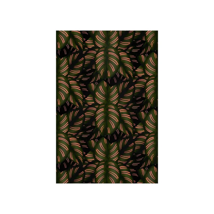 Calathea Pinstripe Print, Poster, Laura Christine Photography & Design, Back to School, Home & Living, Indoor, Matte, Paper, Posters, Valentine's Day promotion, Laura Christine Photography & Design, laurachristinedesign.com