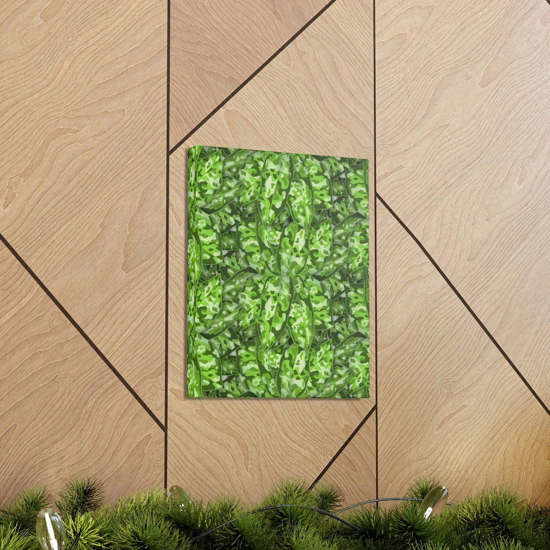 Aglaonema Pictum Canvas - Rare Camouflage Leaf Print Canvas Art Print